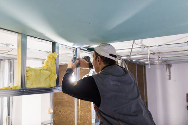 Trusted Bellevue, WI Insulation Experts