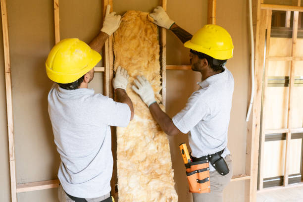 Best Soundproof Insulation  in Bellevue, WI