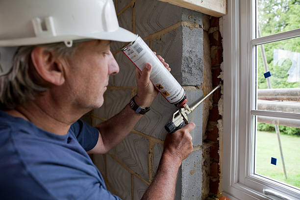 Best Wall Insulation Installation  in Bellevue, WI