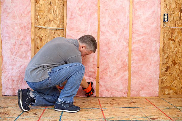 Best Insulation for New Construction  in Bellevue, WI